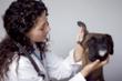 FLAVORx Introduces New Technology to Increase Veterinary Medication...